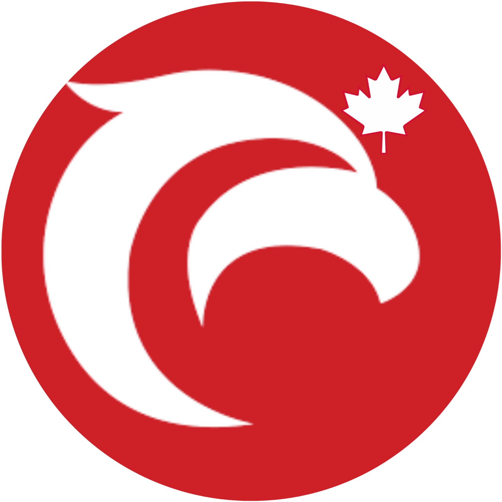 All-In-One Ecommerce Shipping Software EBEPEX EXPRESS