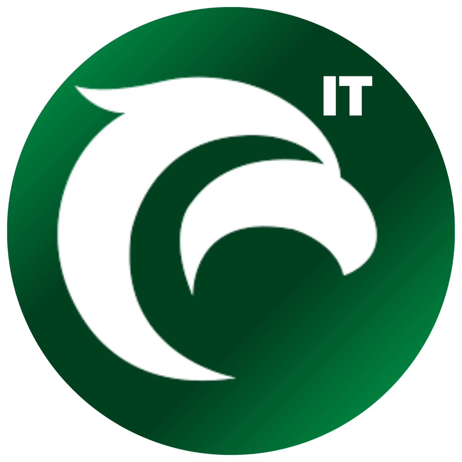 All-In-One Ecommerce Shipping Software EBEPEX EXPRESS